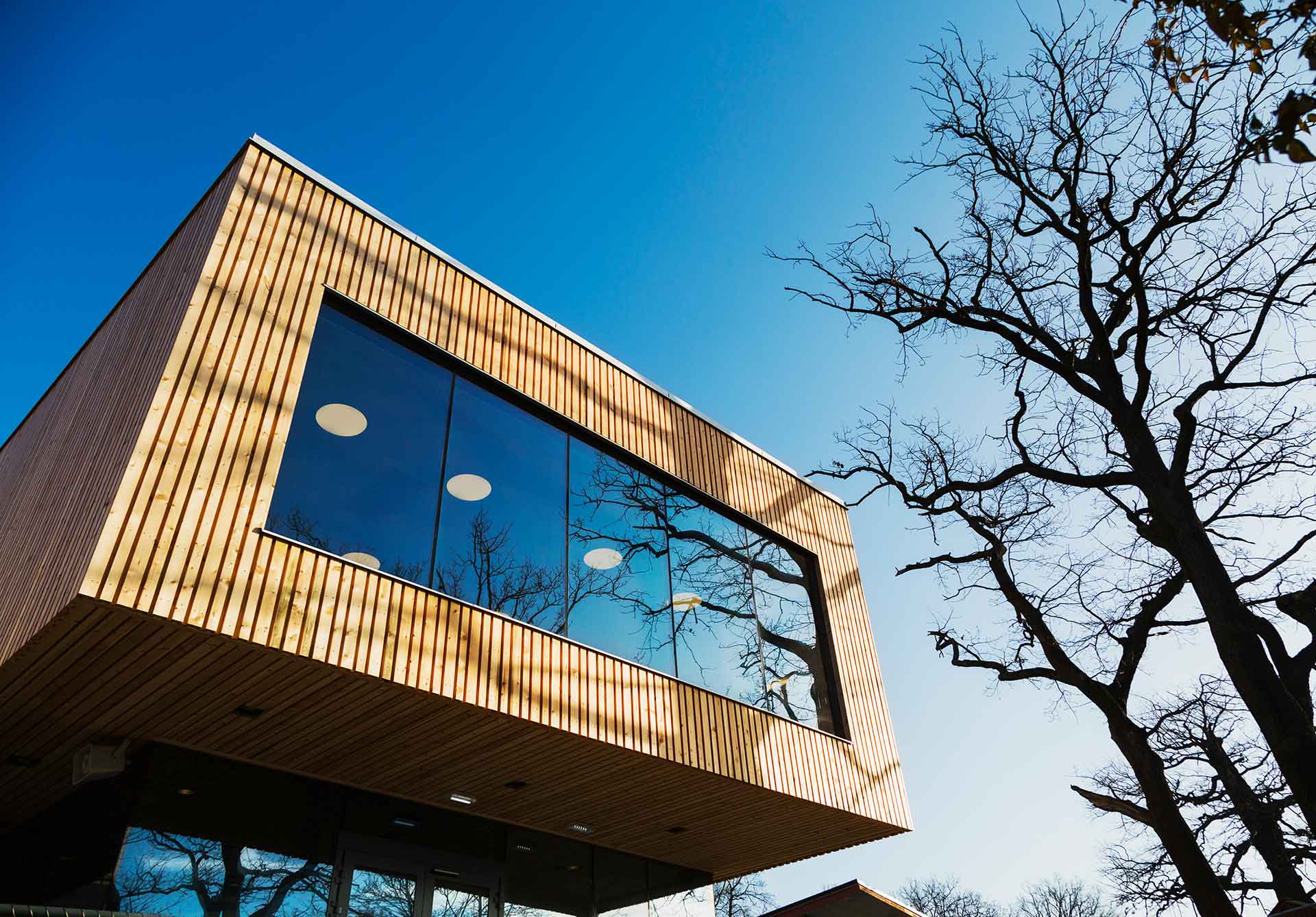 A contemporary structure is distinguished by a facade with vertical wooden elements and expansive window sections, set against the backdrop of an unclouded blue sky. The leafless branches of a tree on the right add a natural accent to the crisp forms of the architecture.